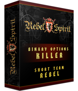 Short Term Rebel Software Box